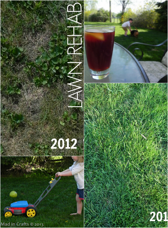 Rehabbing-the-Lawn-Mad-in-Crafts_t