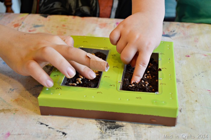Kiwi Crate  Planting Seeds #KiwiSummerFun #ad