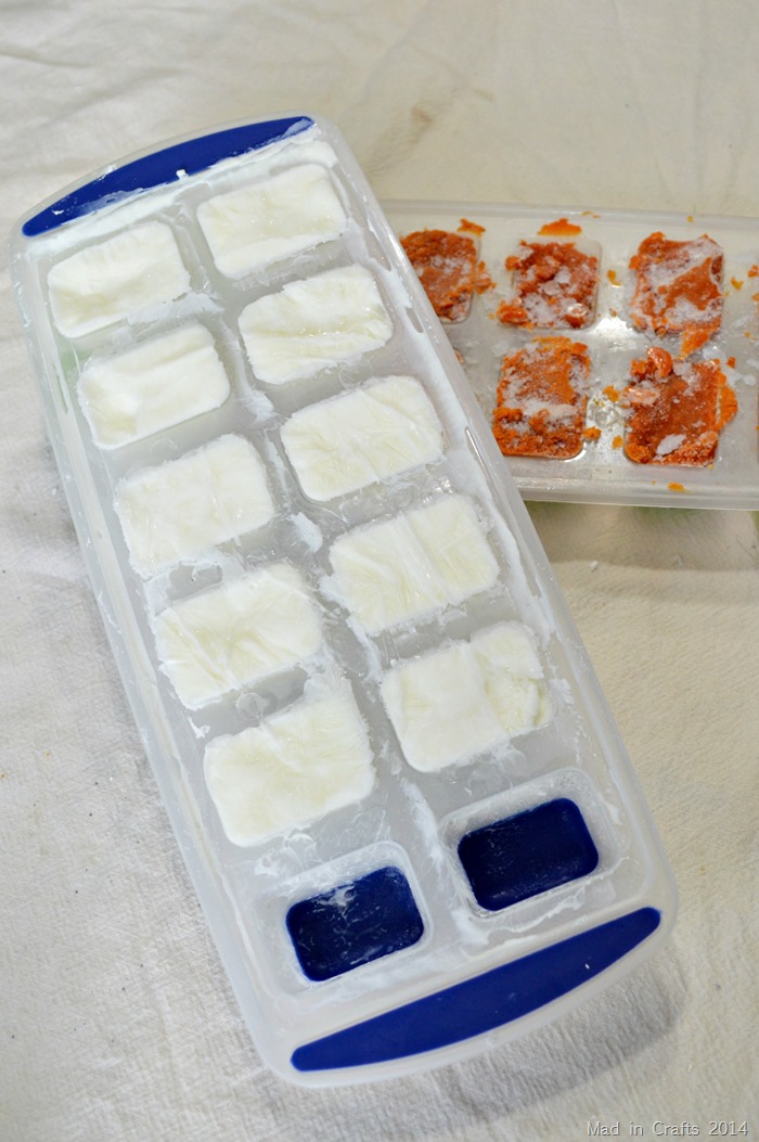 freeze ingredients in ice cube trays
