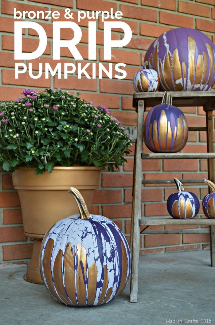 Bronze & Purple Drip Pumpkins on a small step ladder near mums