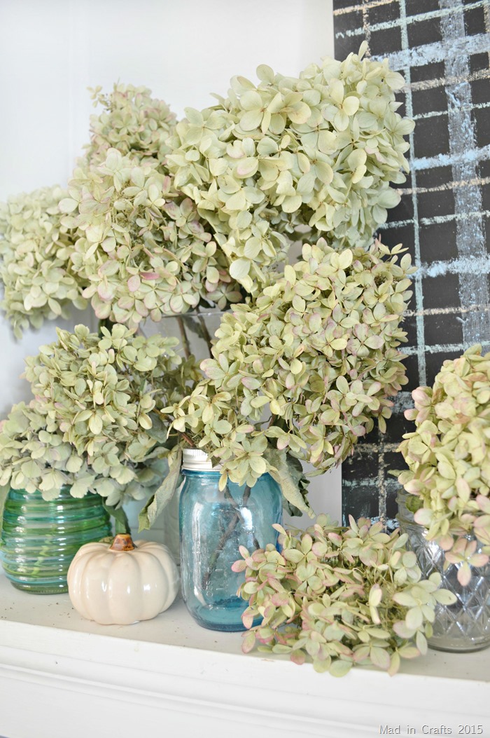 Dried Limelight Hydrangeas