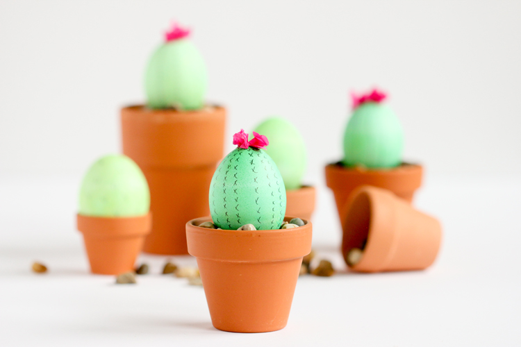 Cactus-Easter-Eggs-19-of-300307