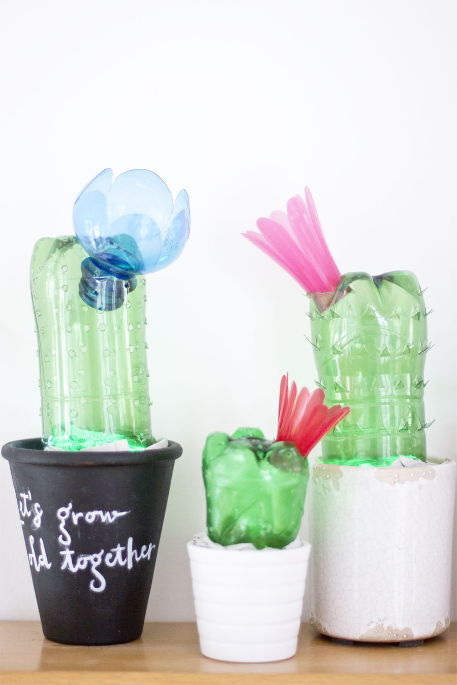 DIY-home-cedoration-upcycled-plastic-bottles-cactus