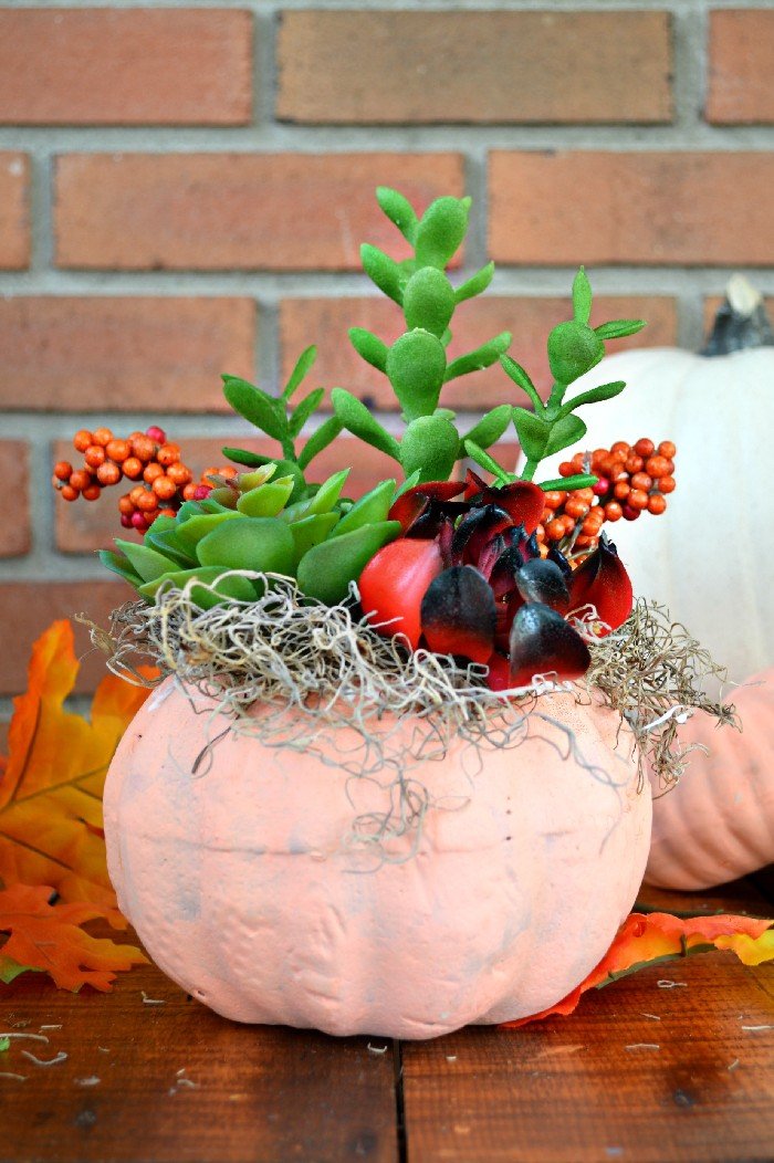 DOLLAR STORE SUCCULENT PUMPKINS