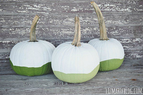 20 PRETTY PAINTED PUMPKINS