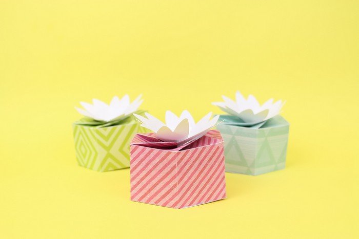 DIY FLOWER TOPPED GIFT BOXES