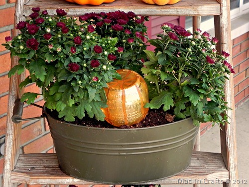 Decorative Pumpkin Watering System for Mums