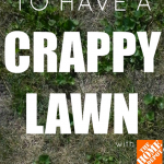 How NOT to Have a Crappy Lawn: Researching Products
