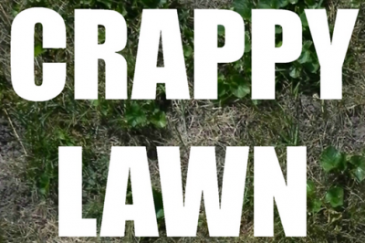 How NOT to Have a Crappy Lawn: Researching Products
