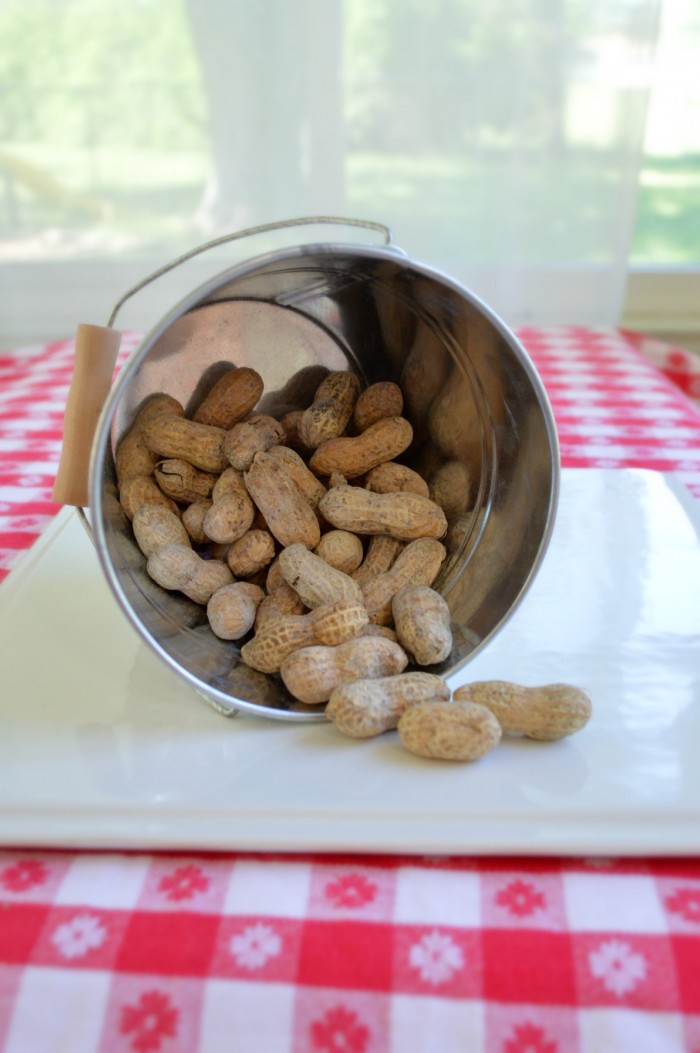 small bucket Peanuts in the Shell that is tipped over and spilling out peanuts