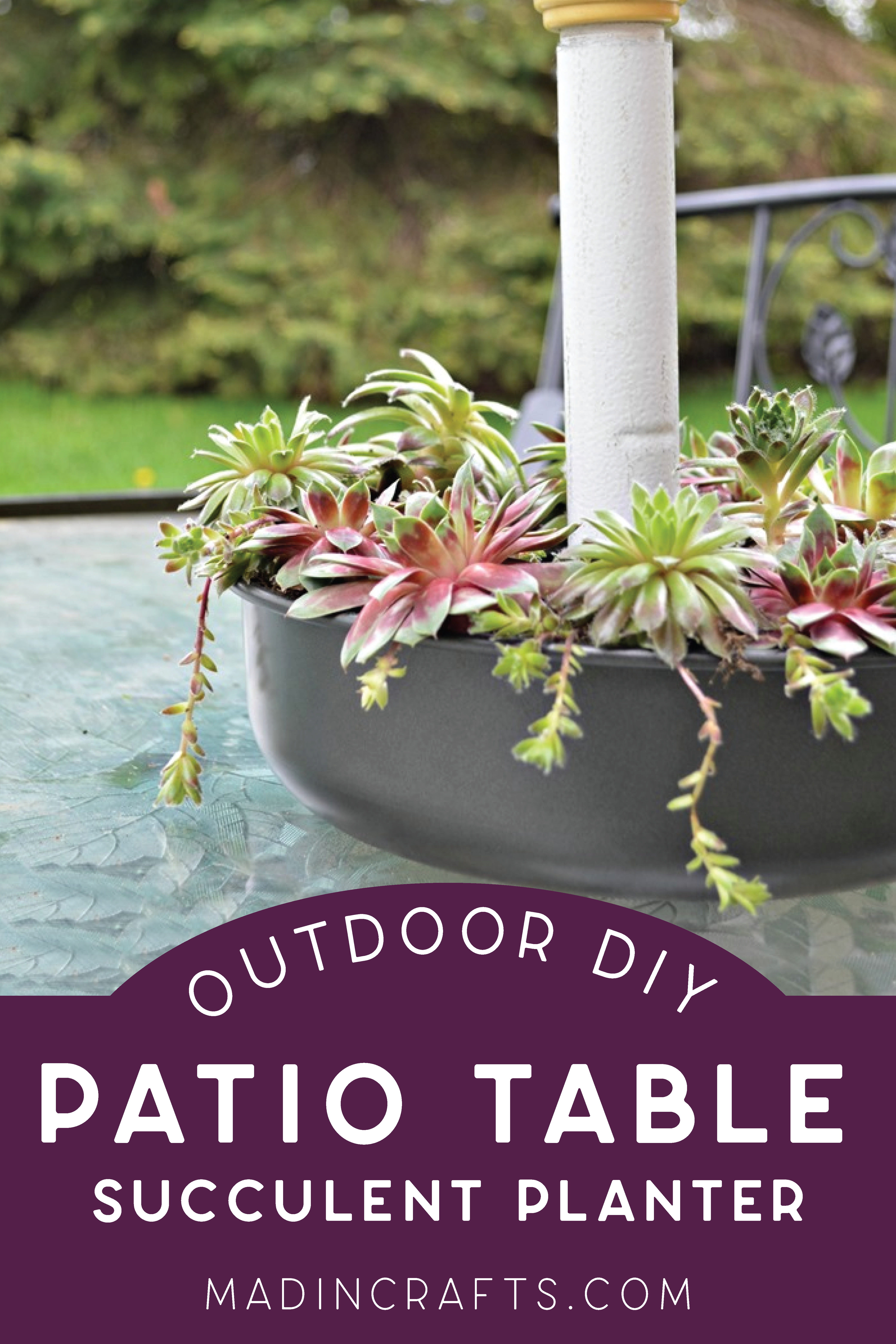 planter of succulents on a patio table