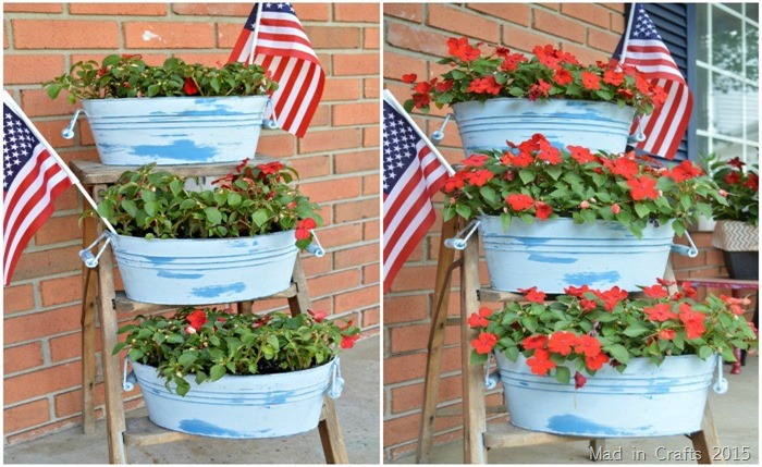 MIRACLE GRO® FED FLOWERS: BEFORE & AFTER