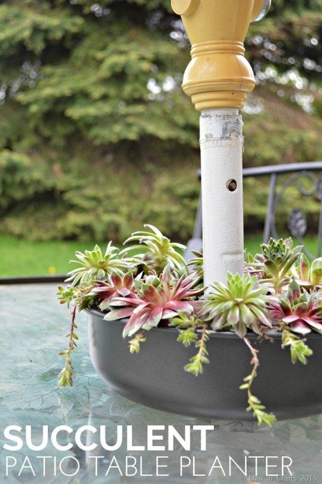 Succulent-planter-for-your-patio-table_thumb.jpg