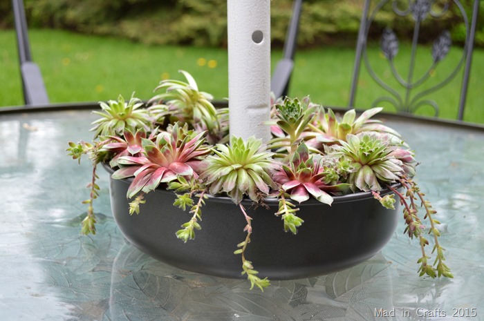 succulent patio table planter mad in crafts