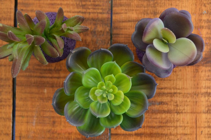 top down view of faux succulents