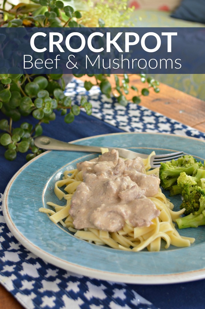 CROCKPOT BEEF & MUSHROOMS OVER NOODLES