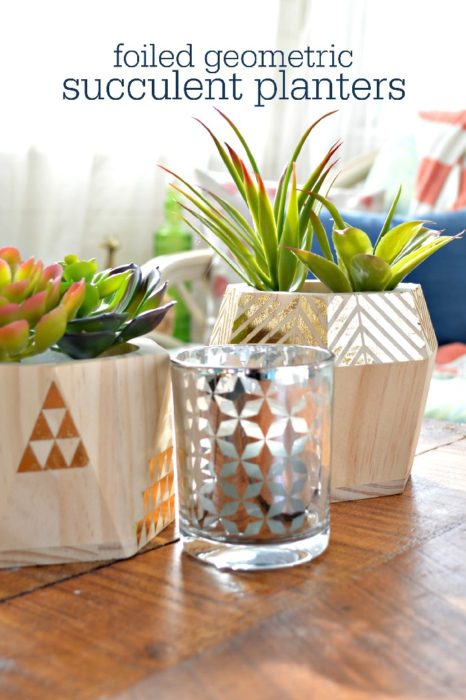succulents in foiled geometric planters on a table in a sunny room