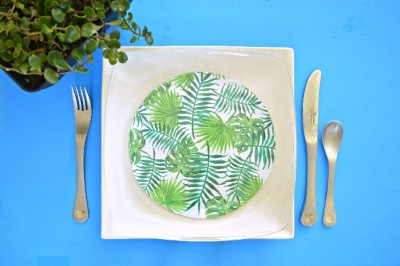 TROPICAL DOLLAR STORE GLASS PLATES