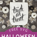 trick or treat tote bag surrounded by leaves and white and black pumpkins
