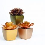 DOLLAR STORE METALLIC SUCCULENTS FOR FALL