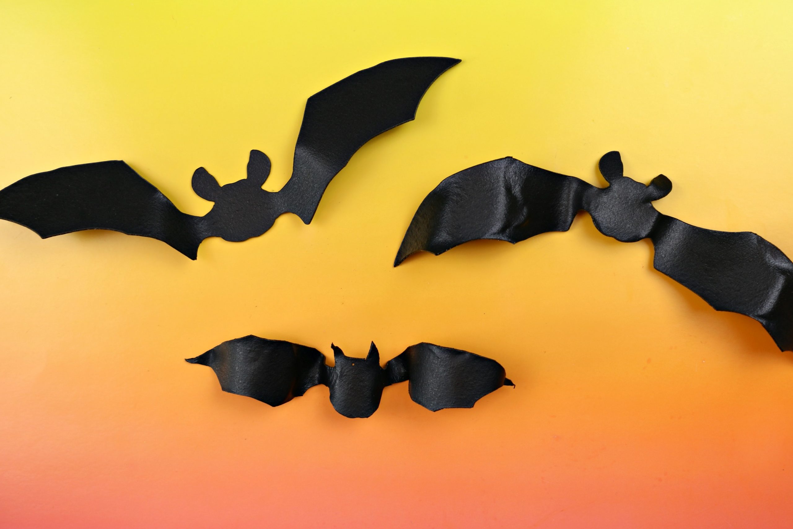 black bat shape cut out of worlba plastic
