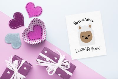 llama valentine near purple wrapped gifts and valentine decor