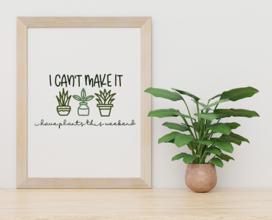 I can't make it I have plants sign near house plant