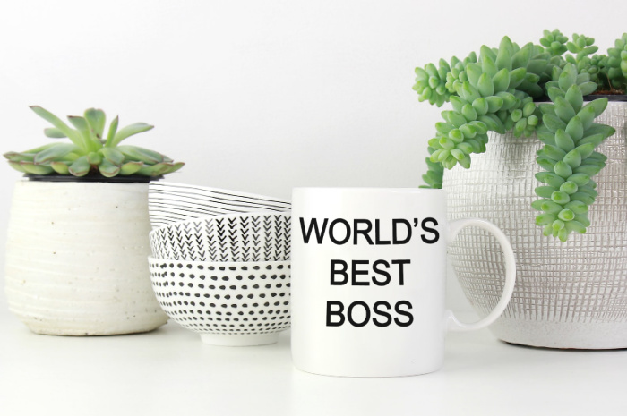 World's Best Boss mug near plants and bowls
