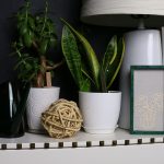 a sidetable with plants and a framed piece of plant artwork