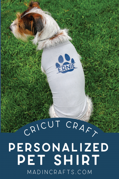 Dog wearing personalized pet shirt