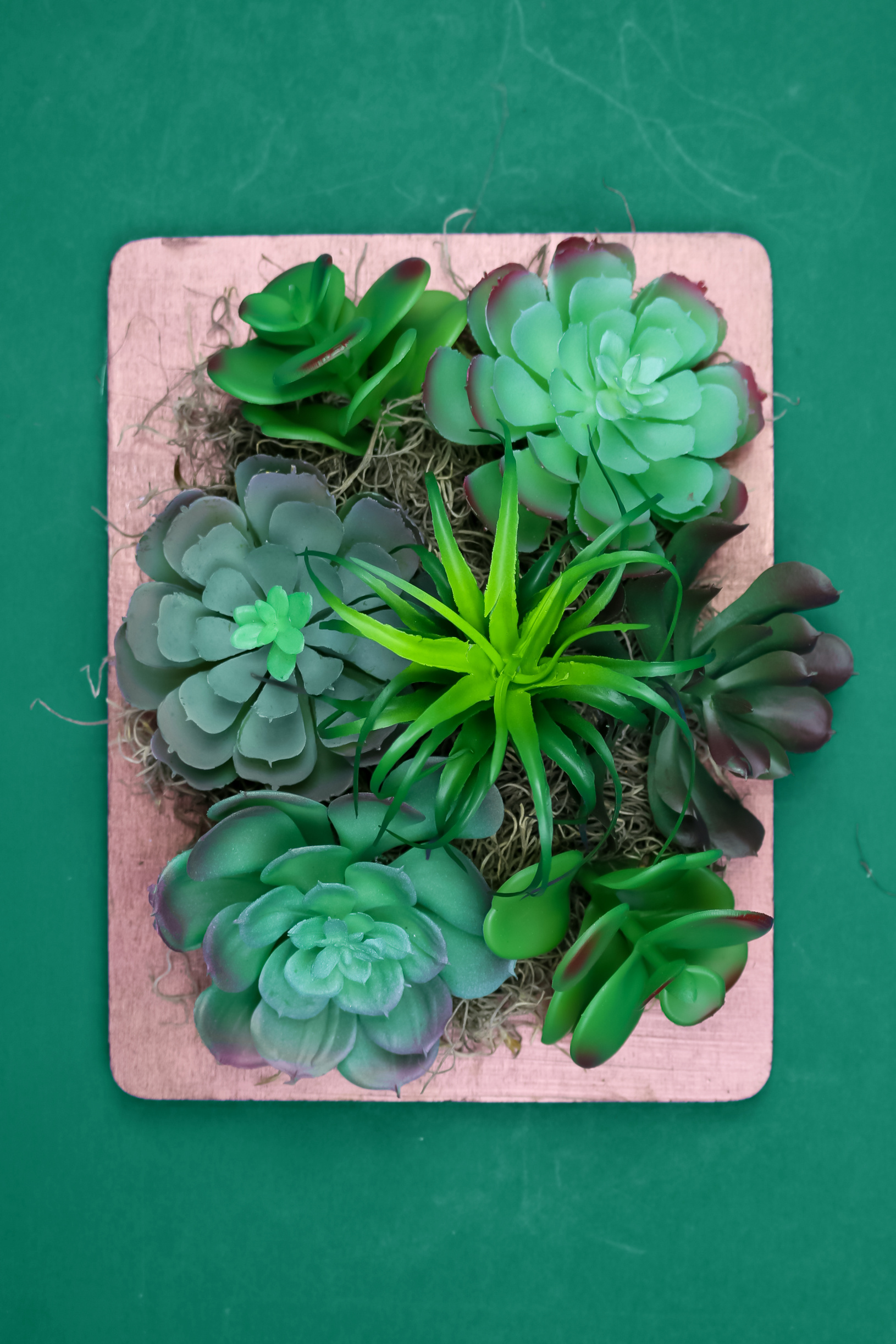faux succulents in a copper frame on a green background