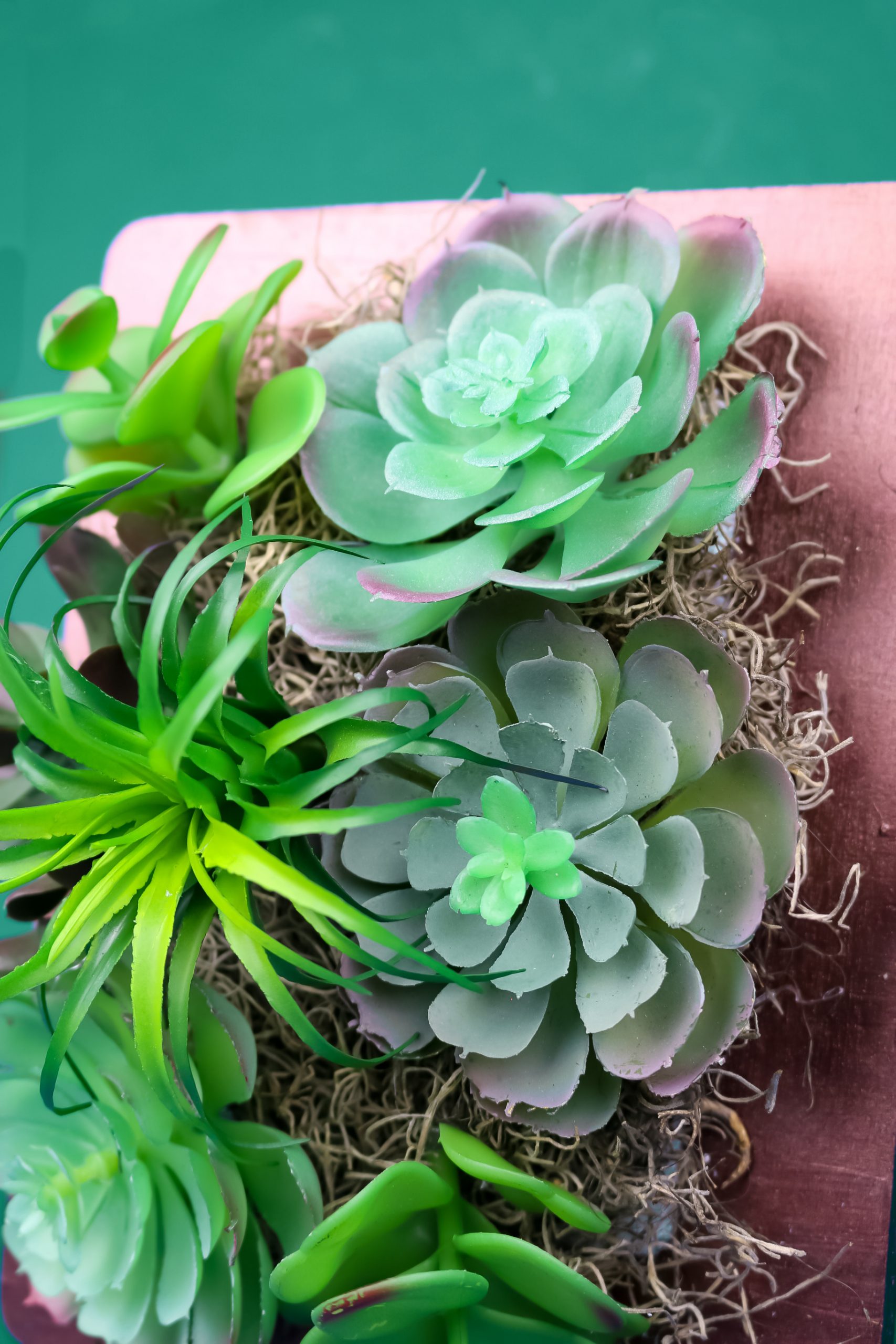 closeup detail of faux succulents in a copper frame on a green background