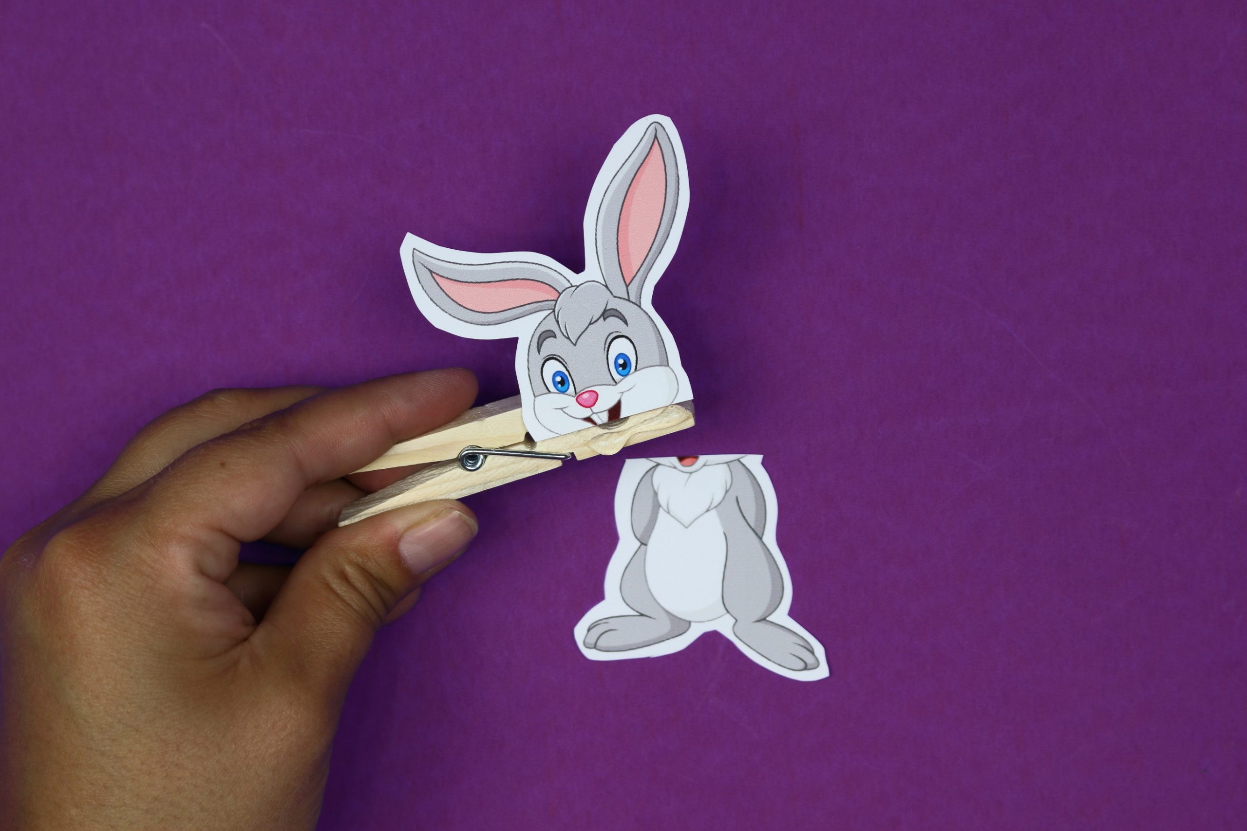 bunny printable glued to a clothespin on a purple background