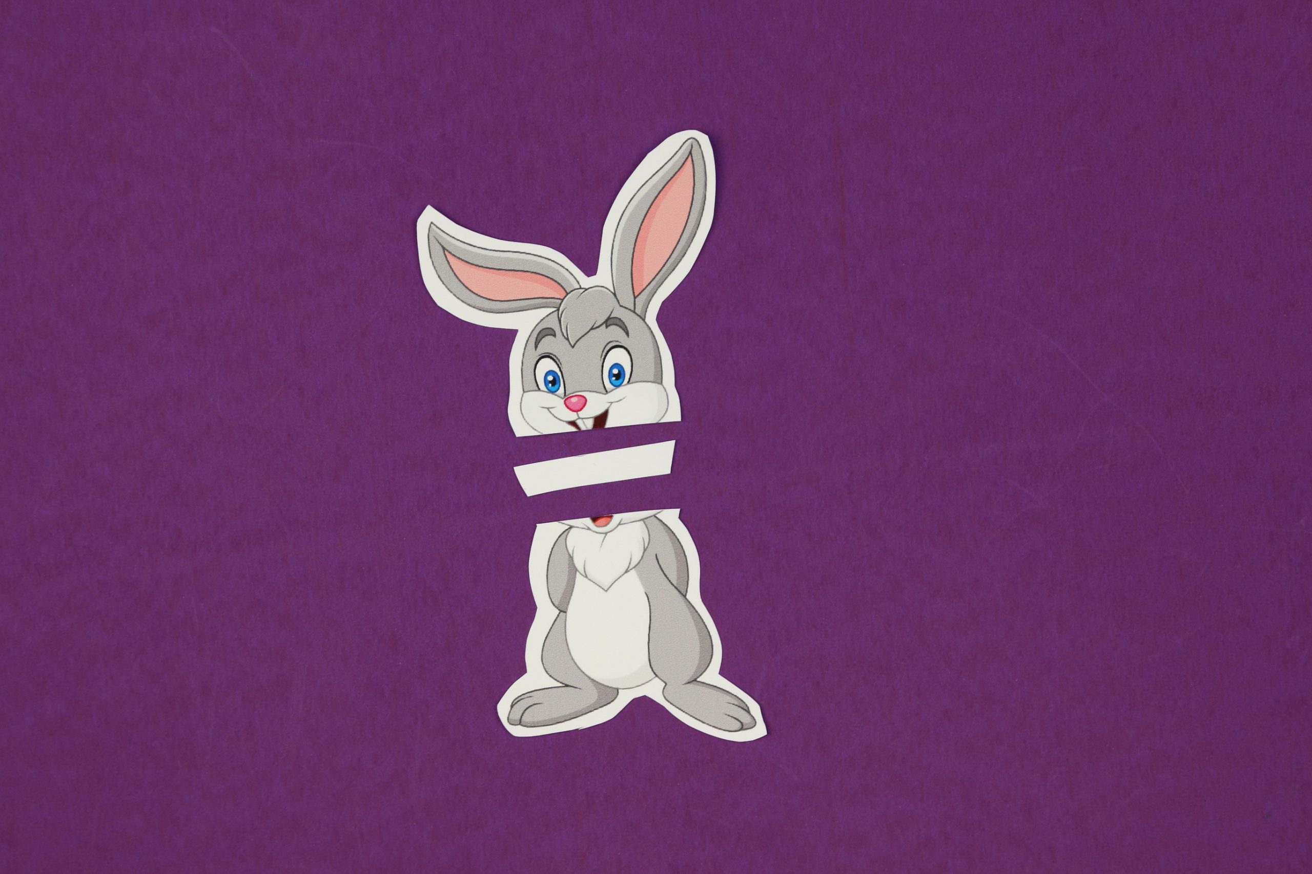 cut bunny printable on a purple background