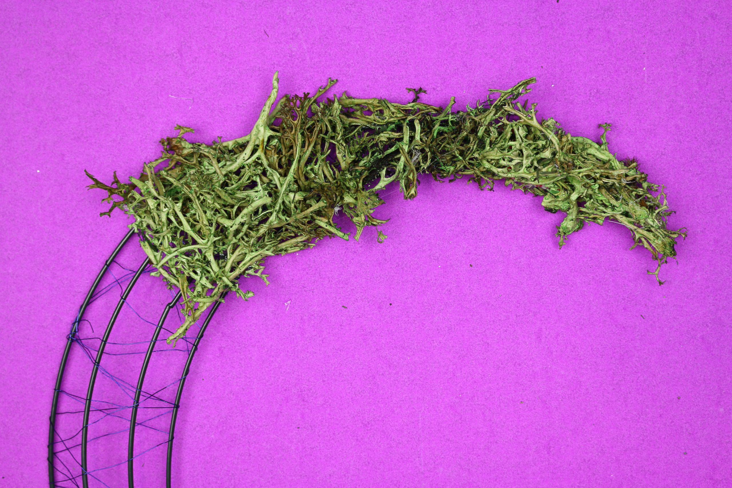 applying reindeer moss covered to a crescent moon wreath