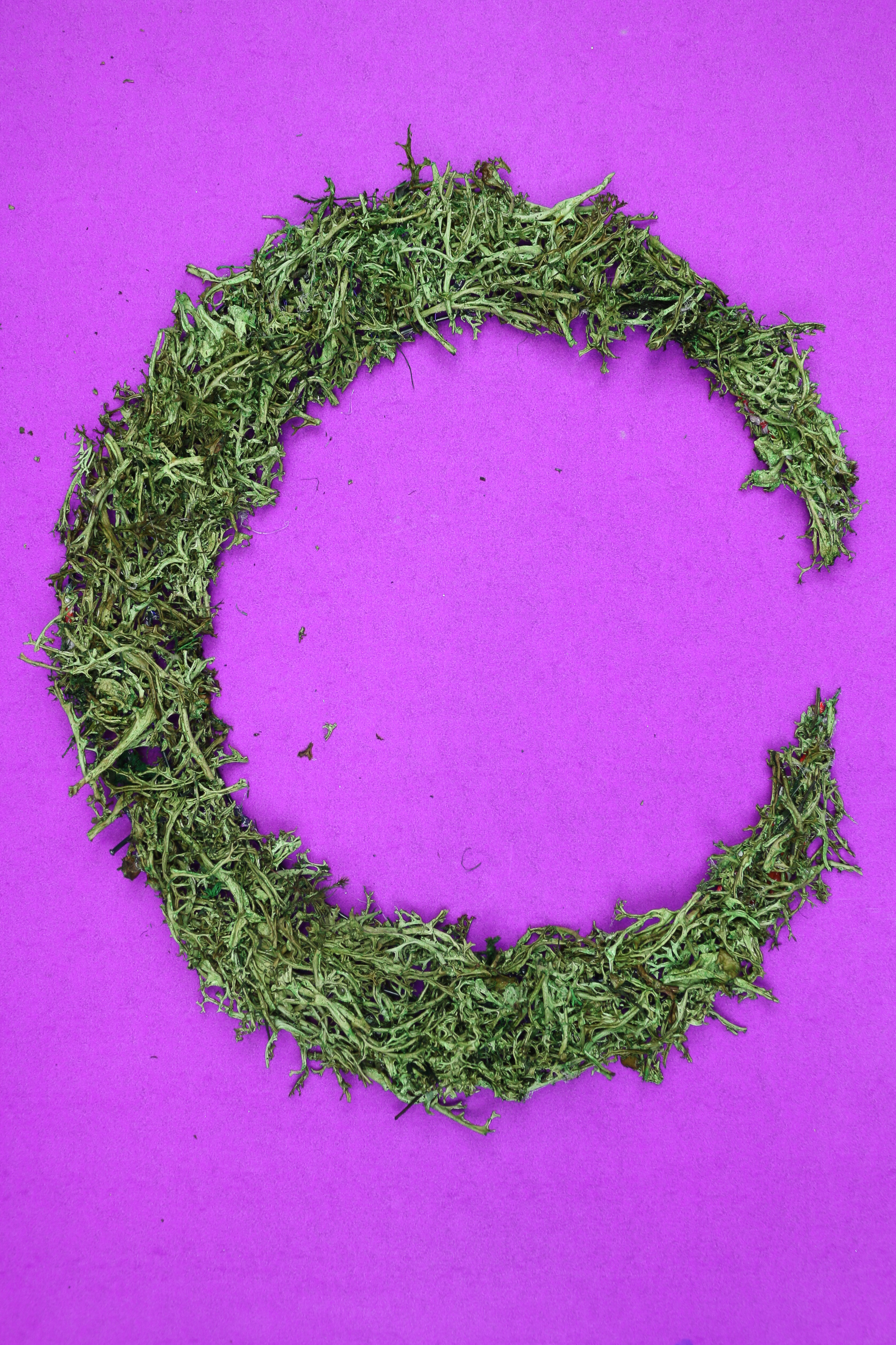 reindeer moss covered crescent moon wreath