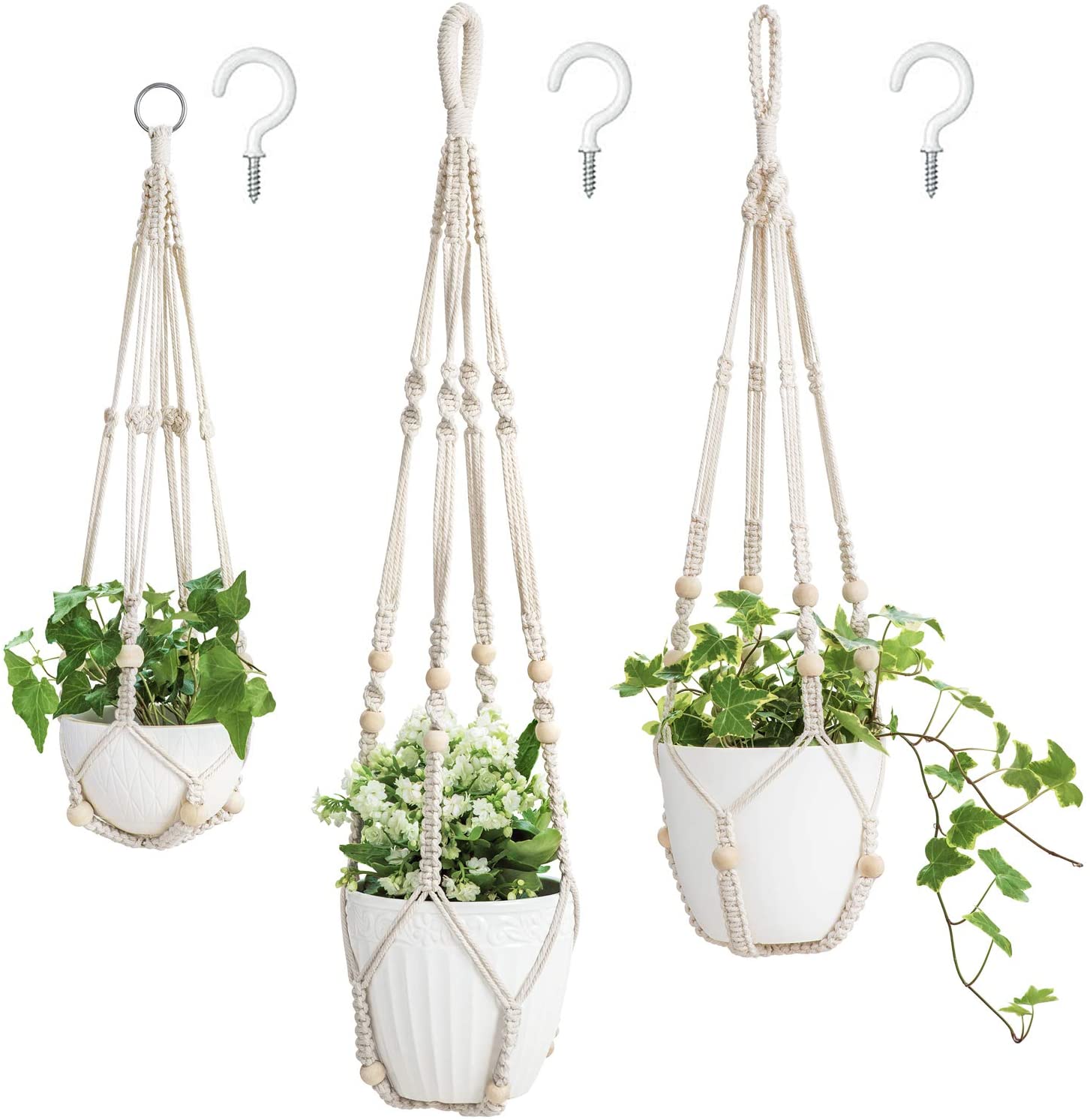 three hanging plants in macrame hangers