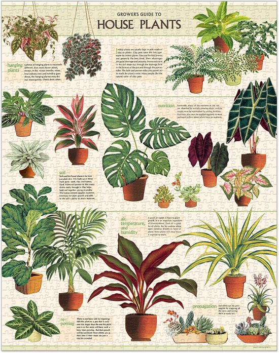 vintage houseplant guide design puzzle