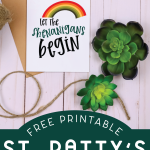 St. Patrick's Day card near faux succulents and twine