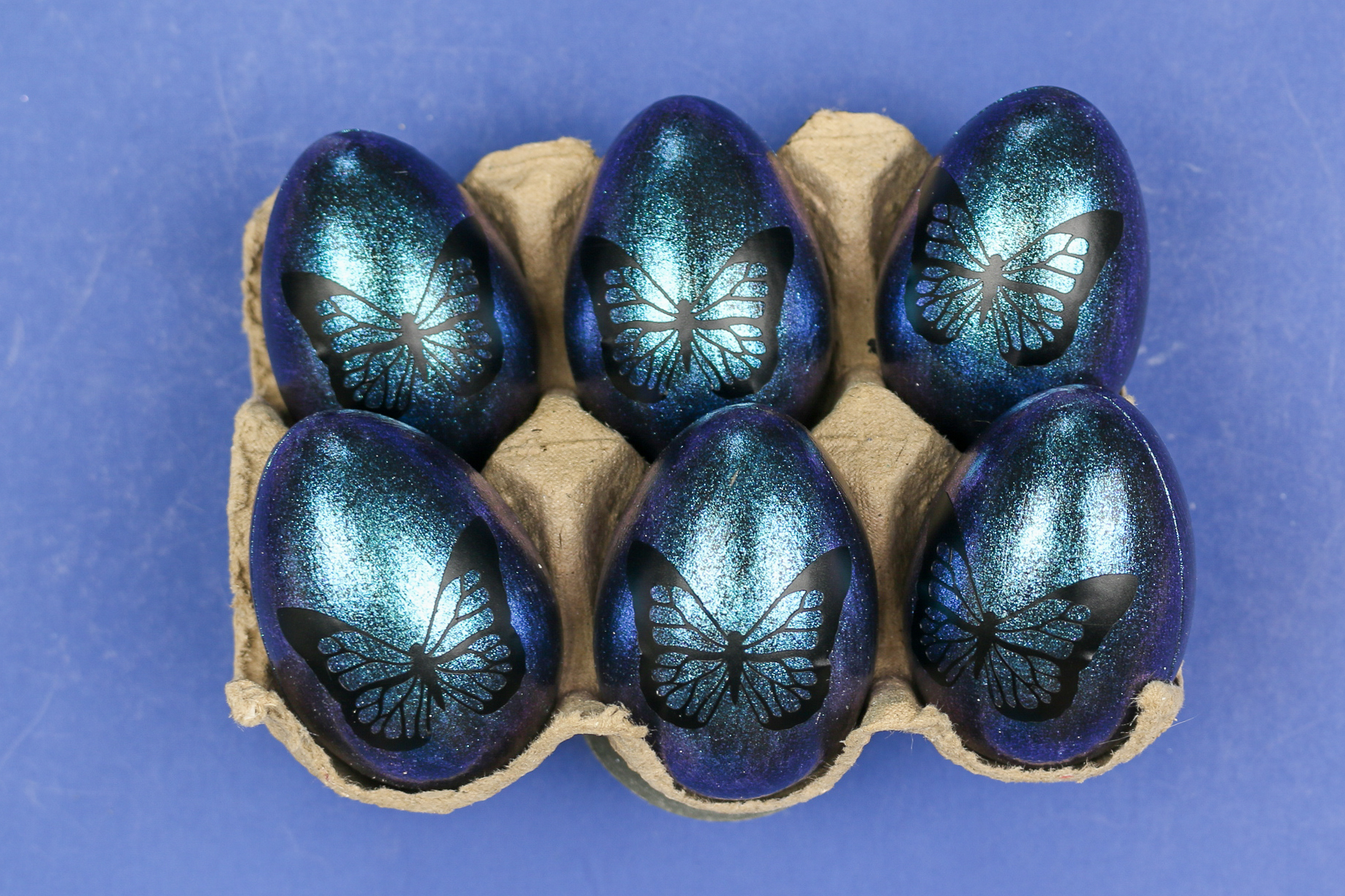 five blue butterfly easter eggs on reindeer mossfive blue butterfly easter eggs in an egg carton