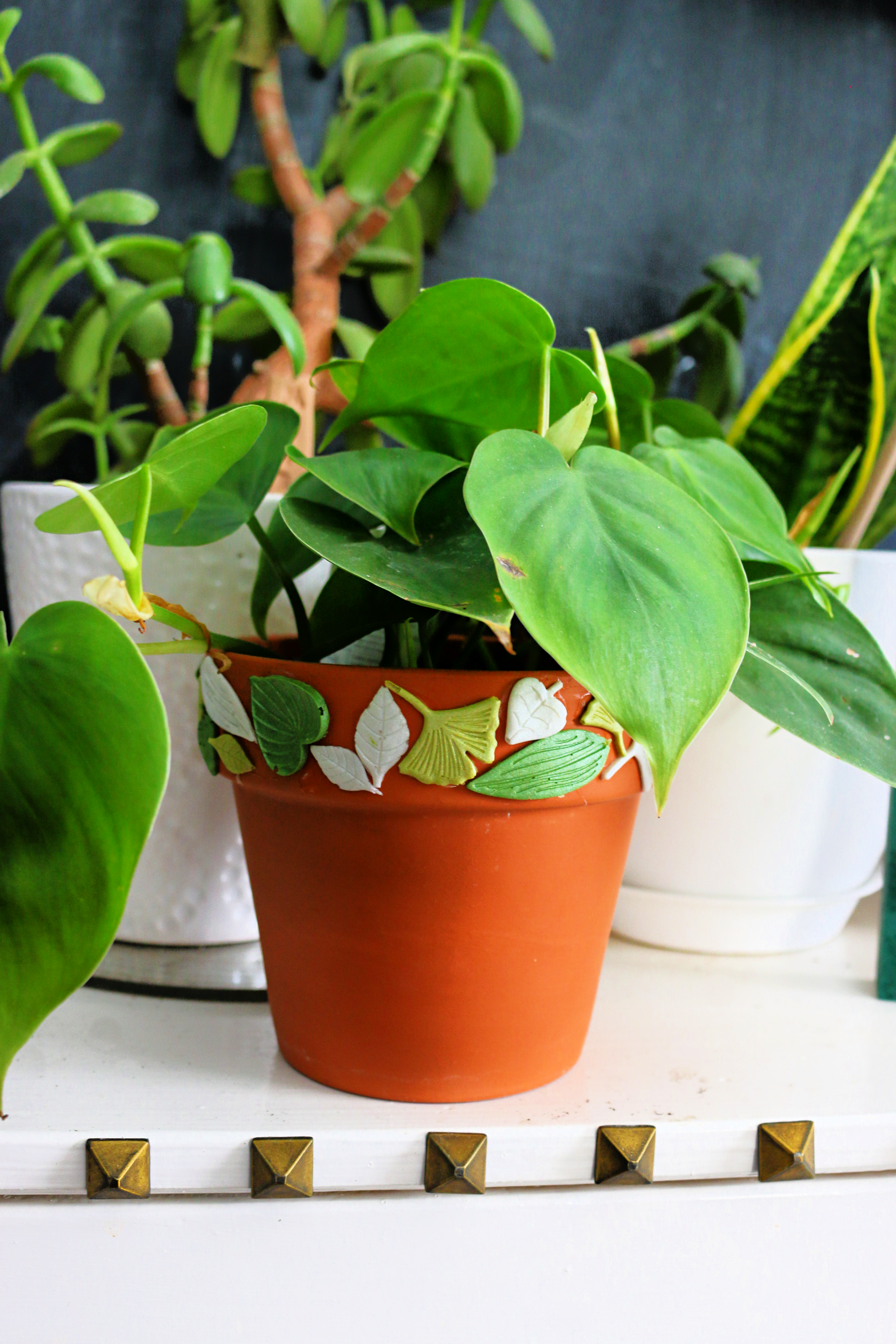 houseplant in a terracotta pot decorated with leaf shapes