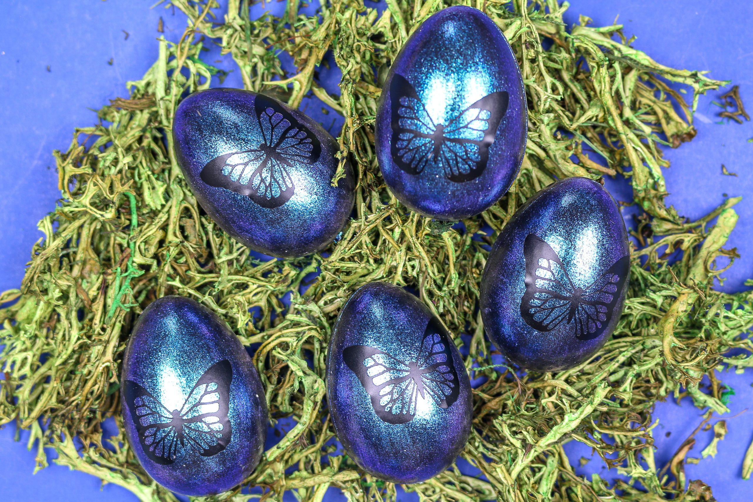 five blue butterfly easter eggs on reindeer moss
