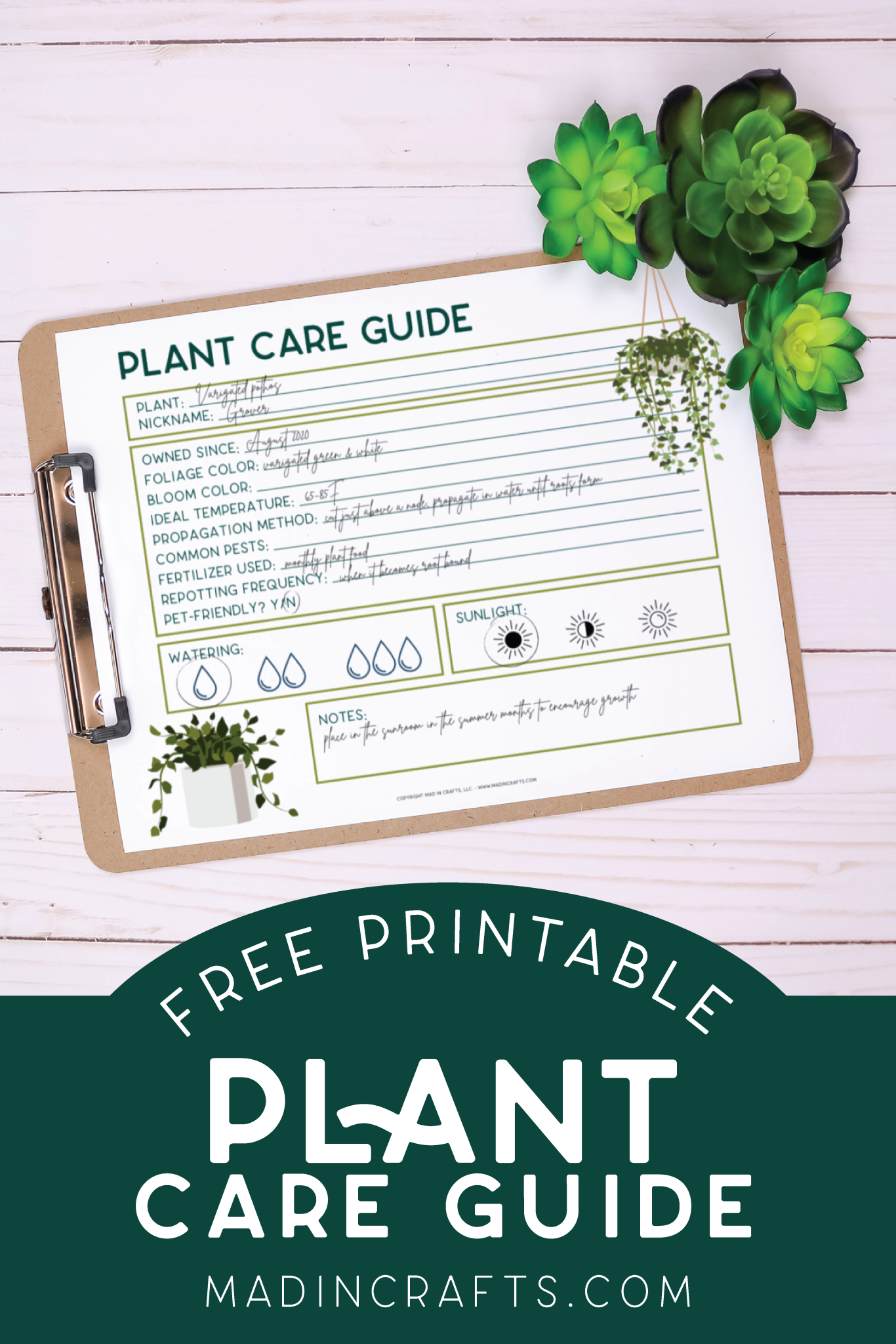 FREE PRINTABLE PLANT CARE GUIDE Crafts Mad In Crafts