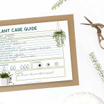 plant care printable surrounded by plants