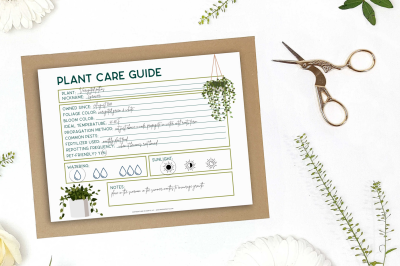 plant care printable surrounded by plants