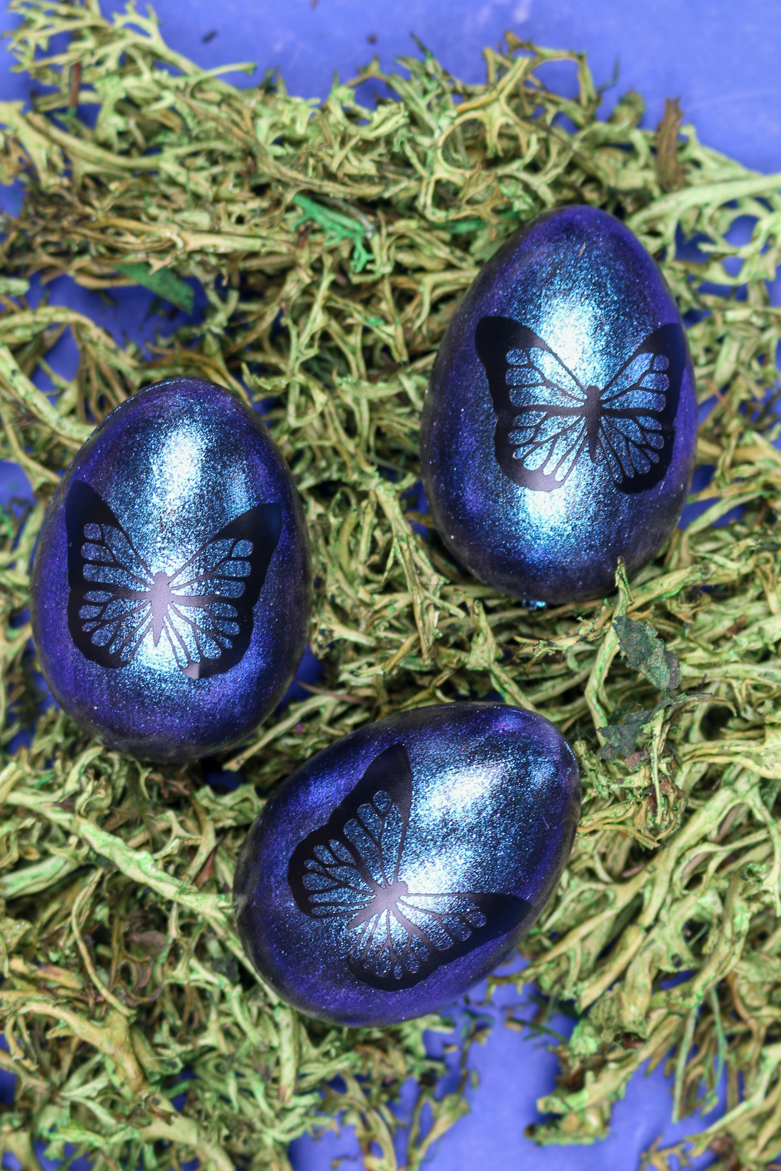 three blue butterfly easter eggs on reindeer moss