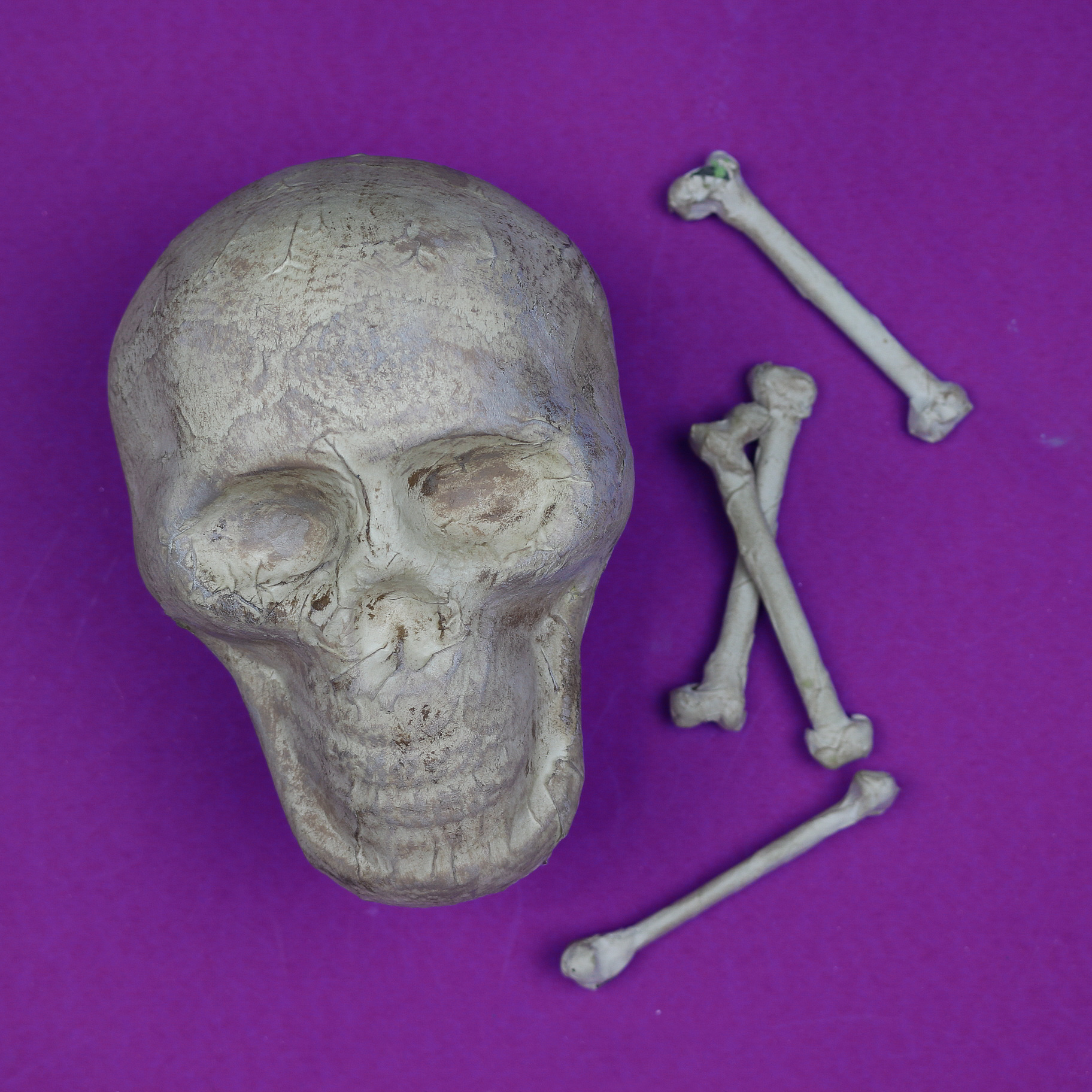 aged halloween skull and bones