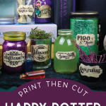 Harry Potter potion labels in a display with magical items