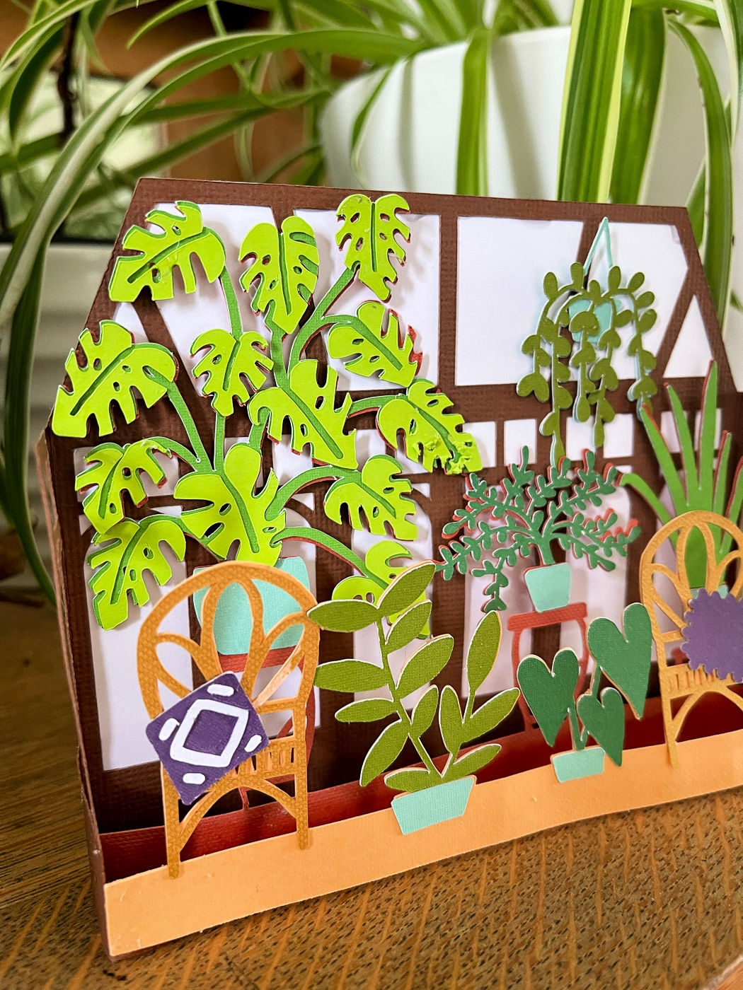Left side view showing the layers of a 3D Paper Card of houseplants in a sunroom sitting near real plants