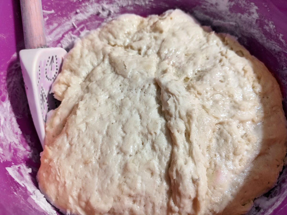 Bread dough in a purple bowl.